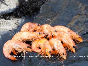 langostino bio cocido (1 kg)